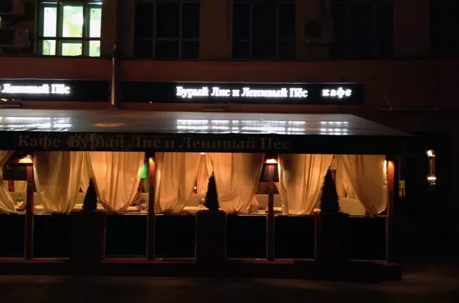 Кафе БУРЫЙ ЛИС и ЛЕНИВЫЙ ПЕС